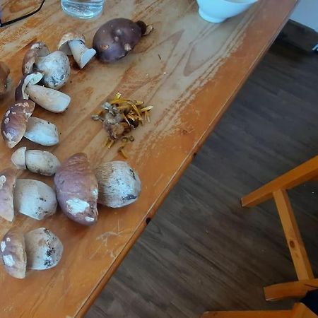 Appartement Vercors 4 Personnes Autrans-Meaudre-en-Vercors Exteriör bild