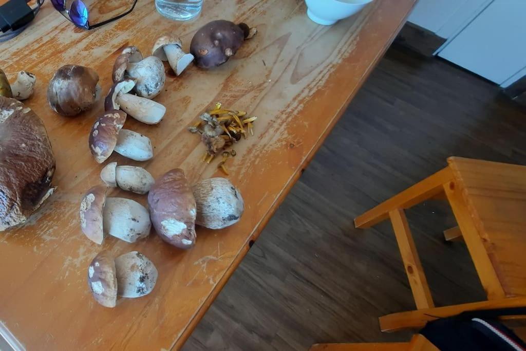 Appartement Vercors 4 Personnes Autrans-Meaudre-en-Vercors Exteriör bild