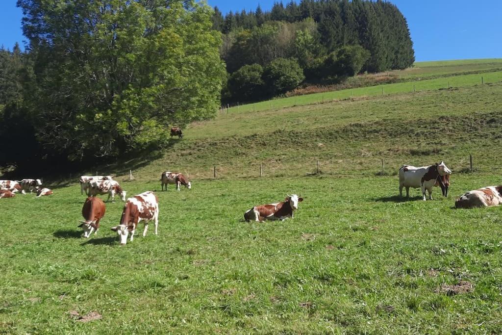 Appartement Vercors 4 Personnes Autrans-Meaudre-en-Vercors Exteriör bild